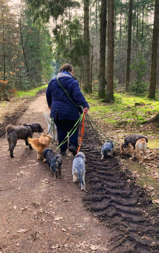 Barbara mit ihrer Hundegruppe