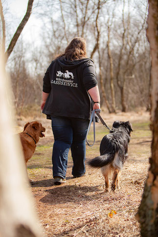Persönlich begleiteter Hundespaziergang
